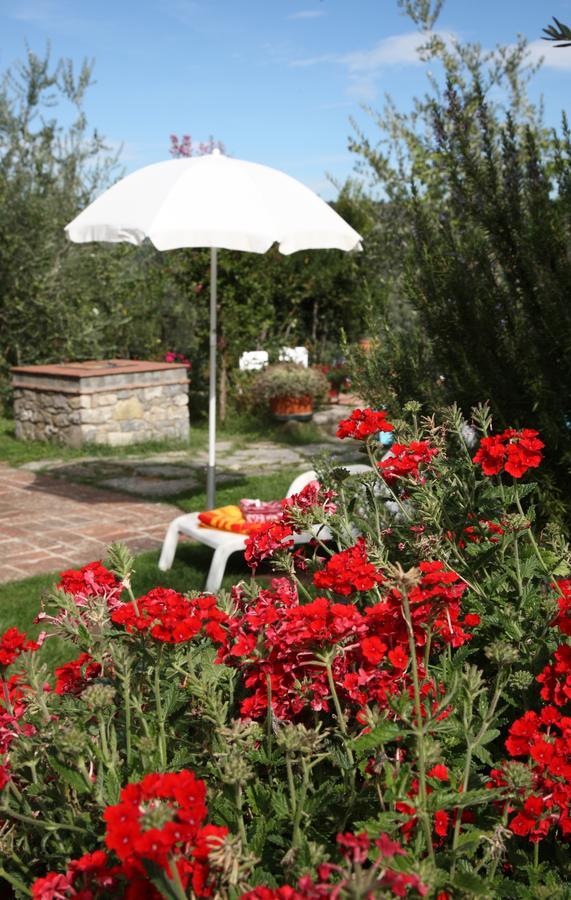 Olivo Country Resort Gaiole in Chianti Dış mekan fotoğraf